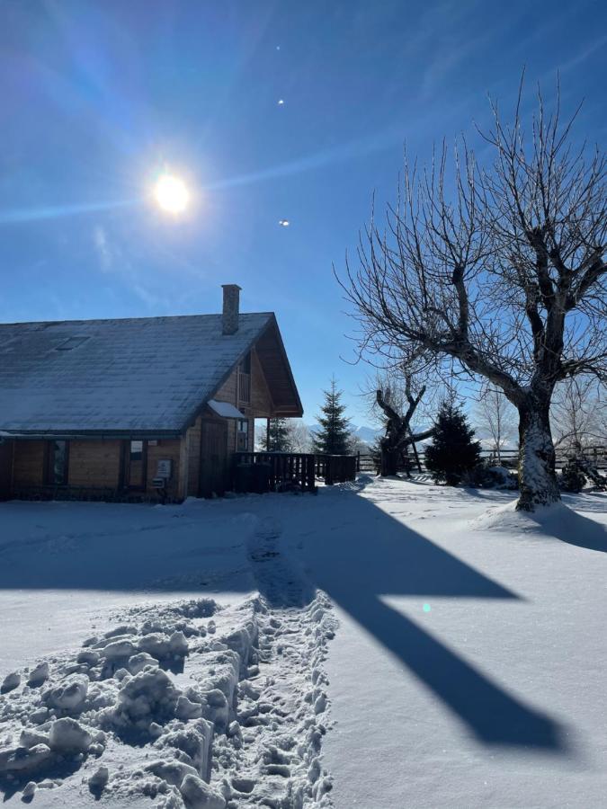 Chalet Ro Pestera  Exterior photo