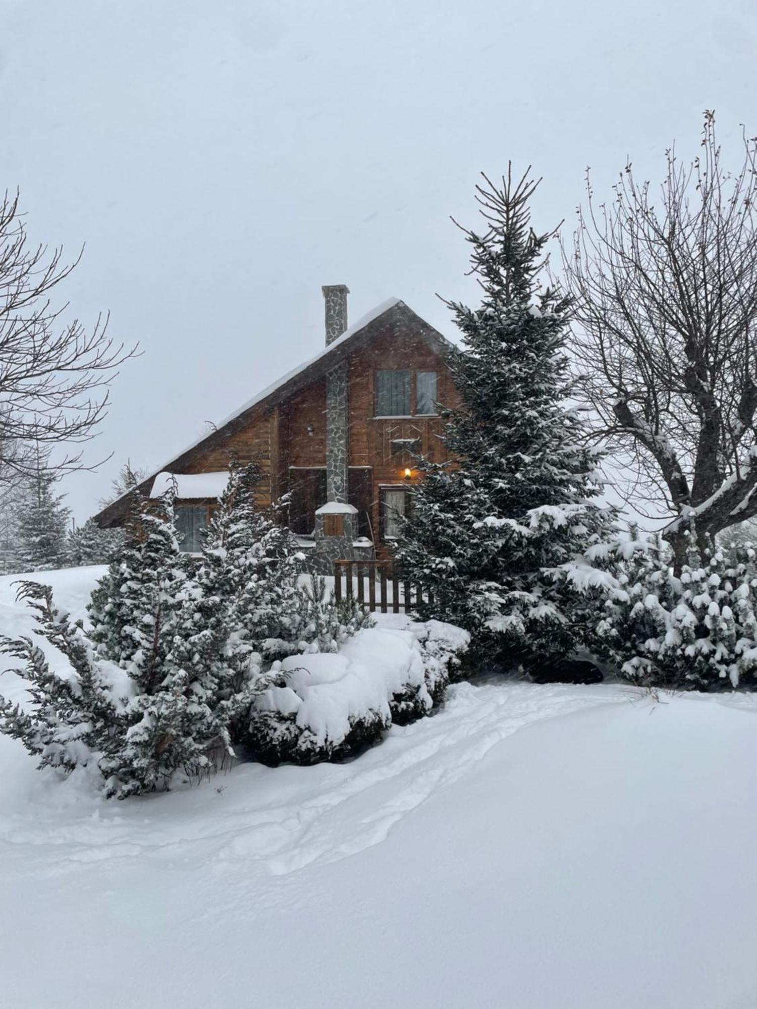 Chalet Ro Pestera  Exterior photo