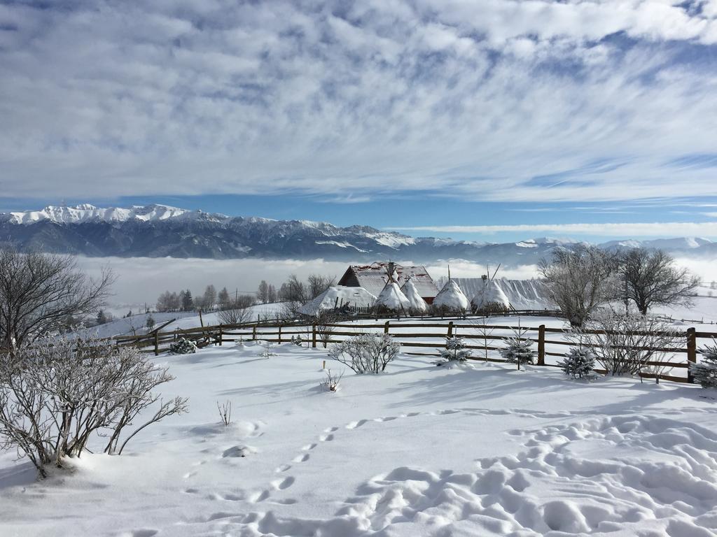 Chalet Ro Pestera  Exterior photo